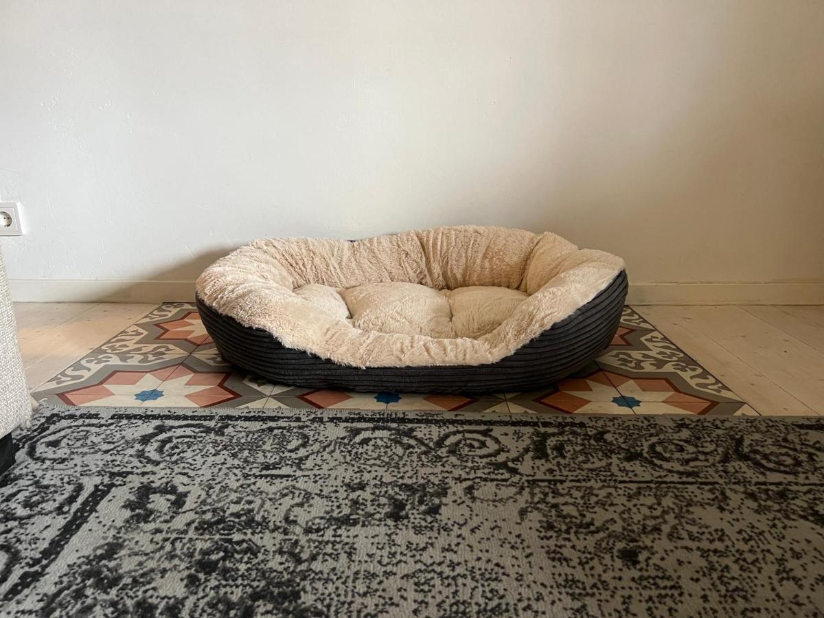 B&B Appartement Rebel And Moon In Het Centrum Van Alblasserdam Εξωτερικό φωτογραφία
